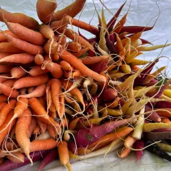 Matanuska Valley Farmer's Market - Wasilla