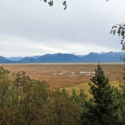 Recreational Trails and Wildlife Viewing - Wasilla