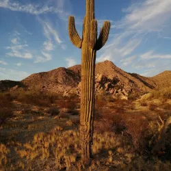 Casa Grande Mountain Park - Arizona City