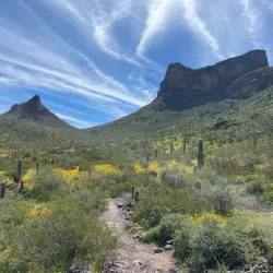 Picacho Peak State Park - Arizona City
