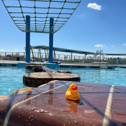 Avondale Aquatic Center - Avondale