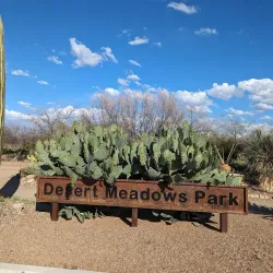 Desert Meadows Park - Avondale