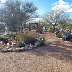 Desert Meadows Park - Avondale