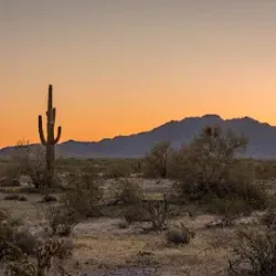 Estrella Mountain Regional Park - Avondale