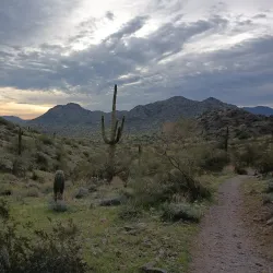 Estrella Mountain Regional Park - Avondale