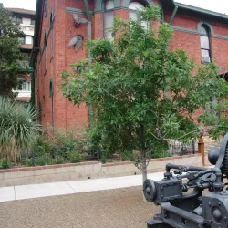 Bisbee Mining & Historical Museum - Bisbee