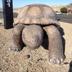 Bullhead City Community Park - Bullhead City