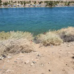 Colorado River Heritage Greenway Park - Bullhead City