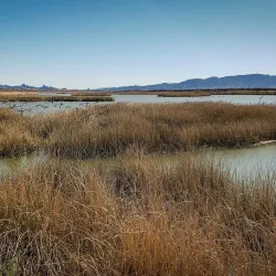 Havasu National Wildlife Refuge - Bullhead City