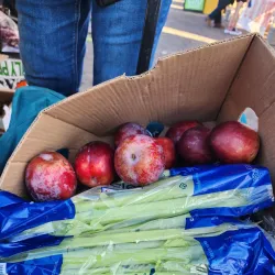 Casa Grande Farmers Market - Casa Grande