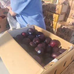 Casa Grande Farmers Market - Casa Grande