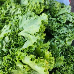 Casa Grande Farmers Market - Casa Grande