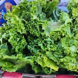 Casa Grande Farmers Market - Casa Grande