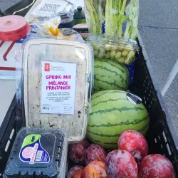 Casa Grande Farmers Market - Casa Grande