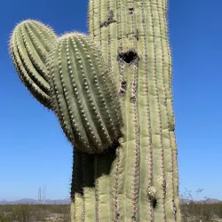 Casa Grande Ruins National Monument - Casa Grande