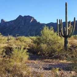 Picacho Peak State Park - Casa Grande