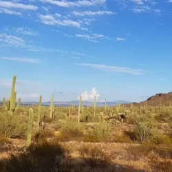 Picacho Peak State Park - Casa Grande