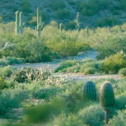Santan Mountain Regional Park - Casa Grande
