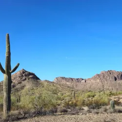 Santan Mountain Regional Park - Casa Grande