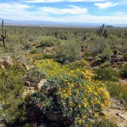 Santan Mountain Regional Park - Casa Grande