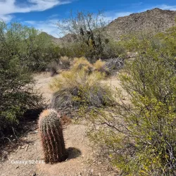 Santan Mountain Regional Park - Casa Grande