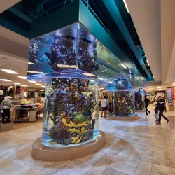 Chandler Fashion Center - Chandler