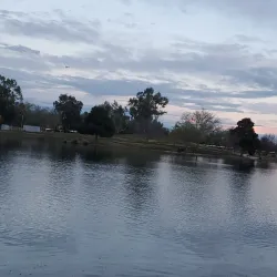 Desert Breeze Park - Chandler