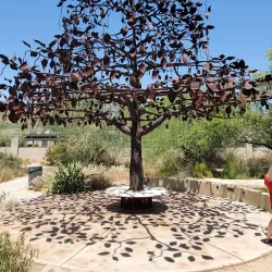 Desert Breeze Park - Chandler