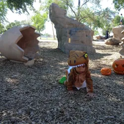 Tumbleweed Park - Chandler