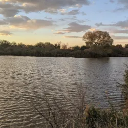 Veterans Oasis Park - Chandler