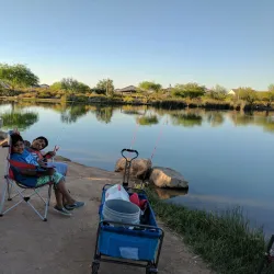Veterans Oasis Park - Chandler