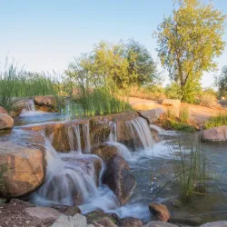 Veterans Oasis Park - Chandler