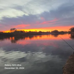 Veterans Oasis Park - Chandler