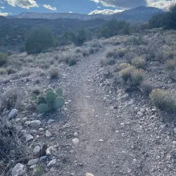 Mingus Mountain Trailhead - Cottonwood