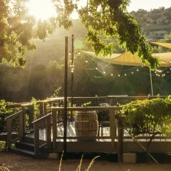 Page Springs Cellars - Cottonwood