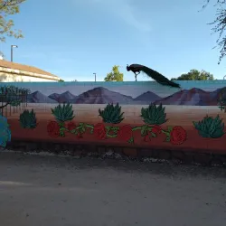 Glendale Xeriscape Garden - Glendale