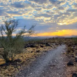 Thunderbird Conservation Park - Glendale