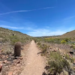 Thunderbird Conservation Park - Glendale