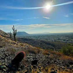 Thunderbird Conservation Park - Glendale