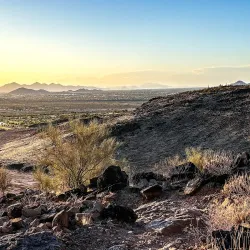 Thunderbird Conservation Park - Glendale