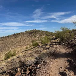 Thunderbird Conservation Park - Glendale