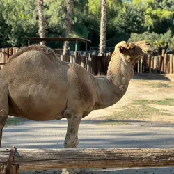 Wildlife World Zoo, Aquarium & Safari Park - Glendale