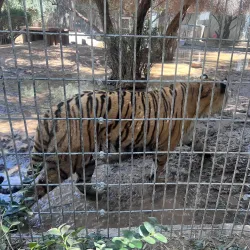 Wildlife World Zoo, Aquarium & Safari Park - Glendale