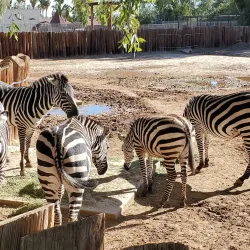 Wildlife World Zoo, Aquarium & Safari Park - Glendale