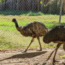 Wildlife World Zoo, Aquarium & Safari Park - Glendale