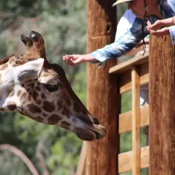 Wildlife World Zoo, Aquarium & Safari Park - Glendale