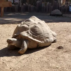 Wildlife World Zoo, Aquarium & Safari Park - Glendale