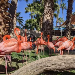 Wildlife World Zoo, Aquarium & Safari Park - Glendale
