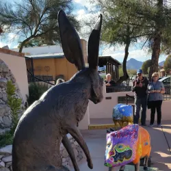 Green Valley Recreation Centers - Green Valley