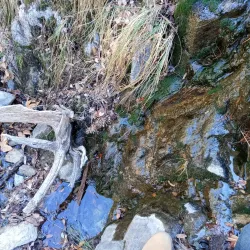 Madera Canyon - Green Valley